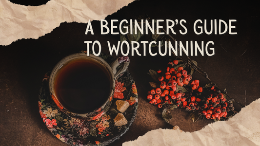 What Is Wortcunning? A Beginner’s Guide to the Old Craft of Working with Plants