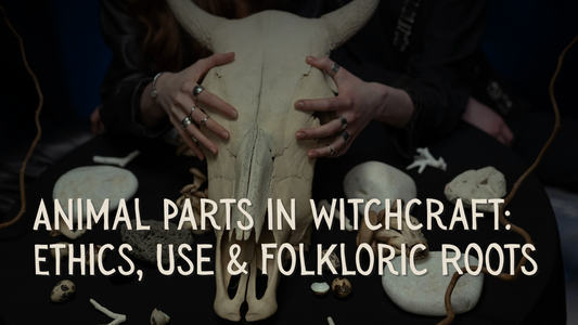 Animal Parts in Witchcraft: Ethics, Use & Folkloric Roots