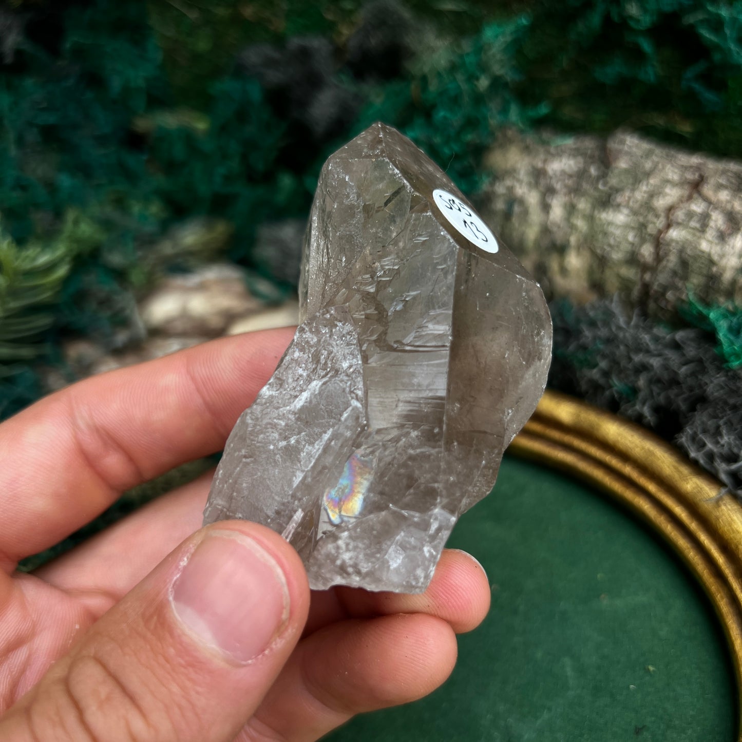 Raw Smoky Quartz SQ5