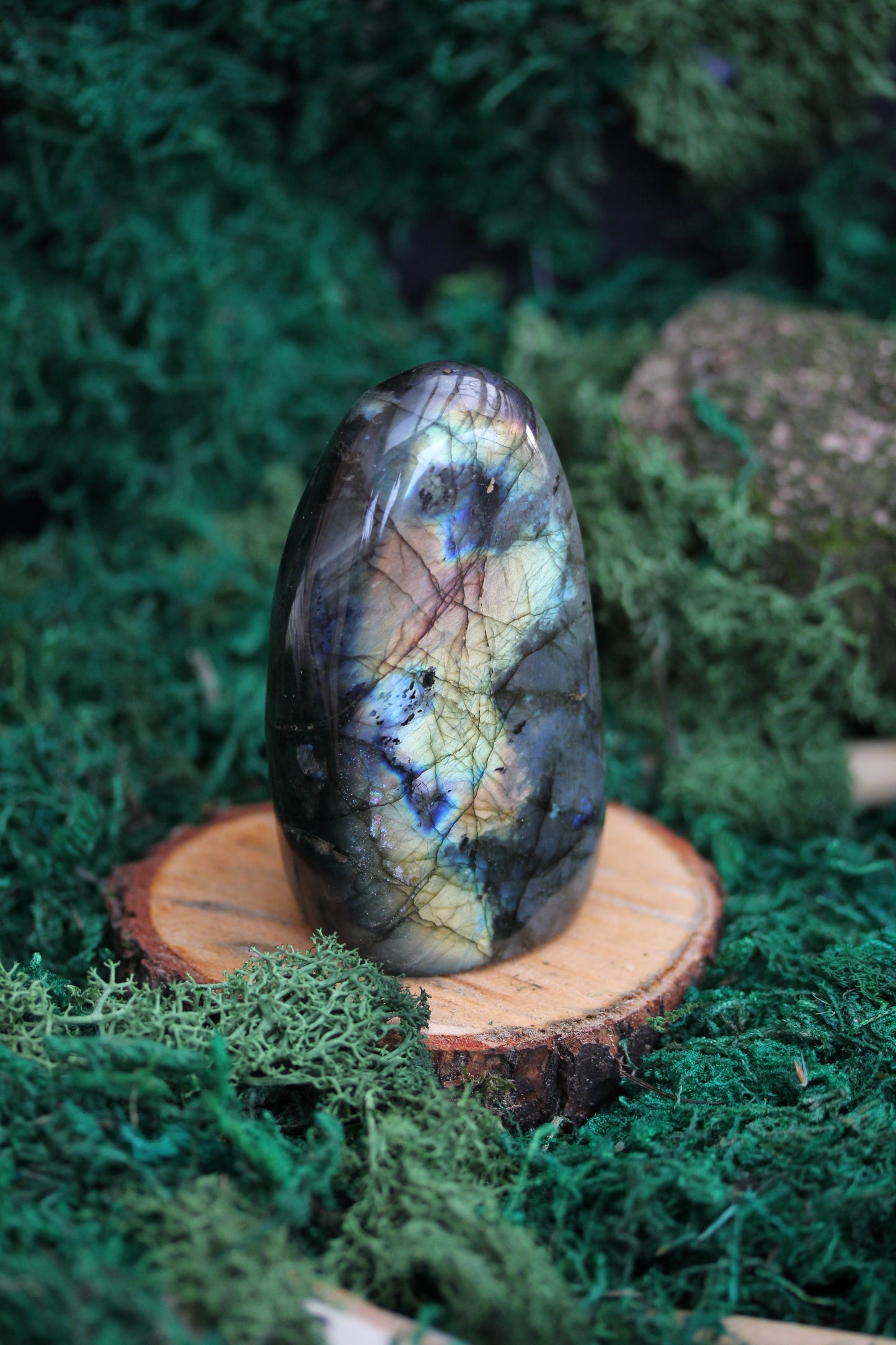 Blue Labradorite Freeform LF24