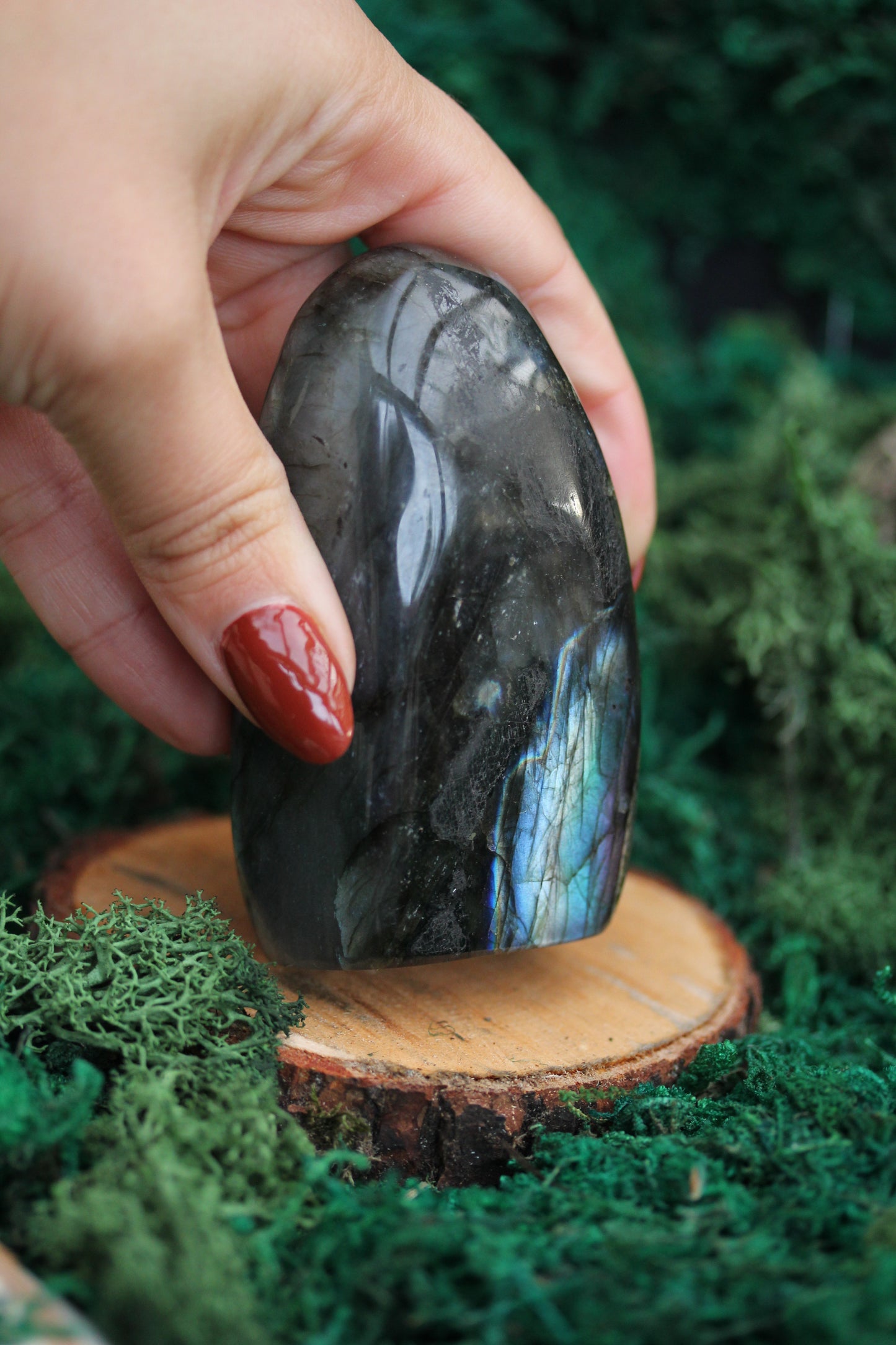 Blue Labradorite Freeform LF24