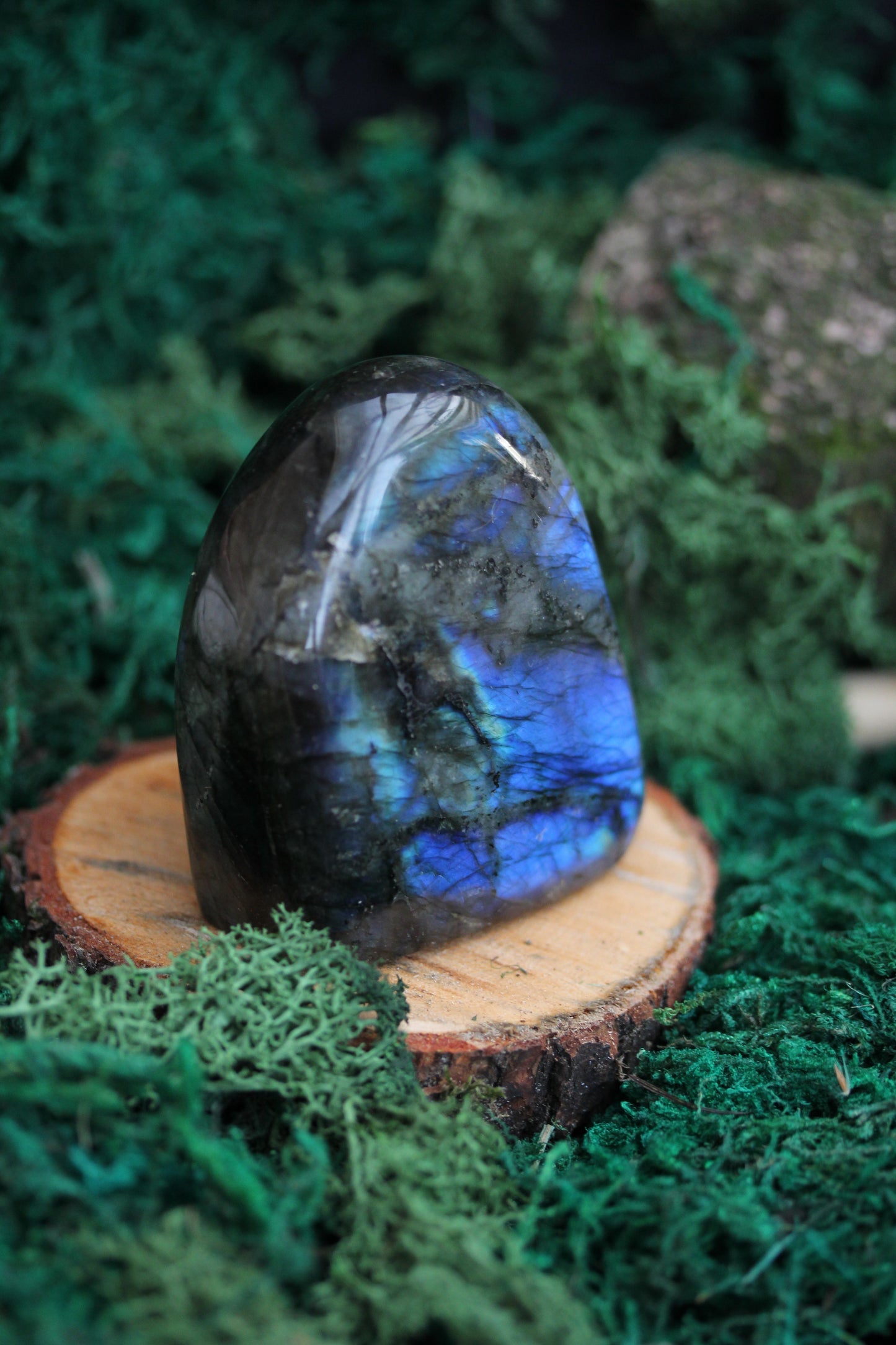 Blue Labradorite Freeform LF26