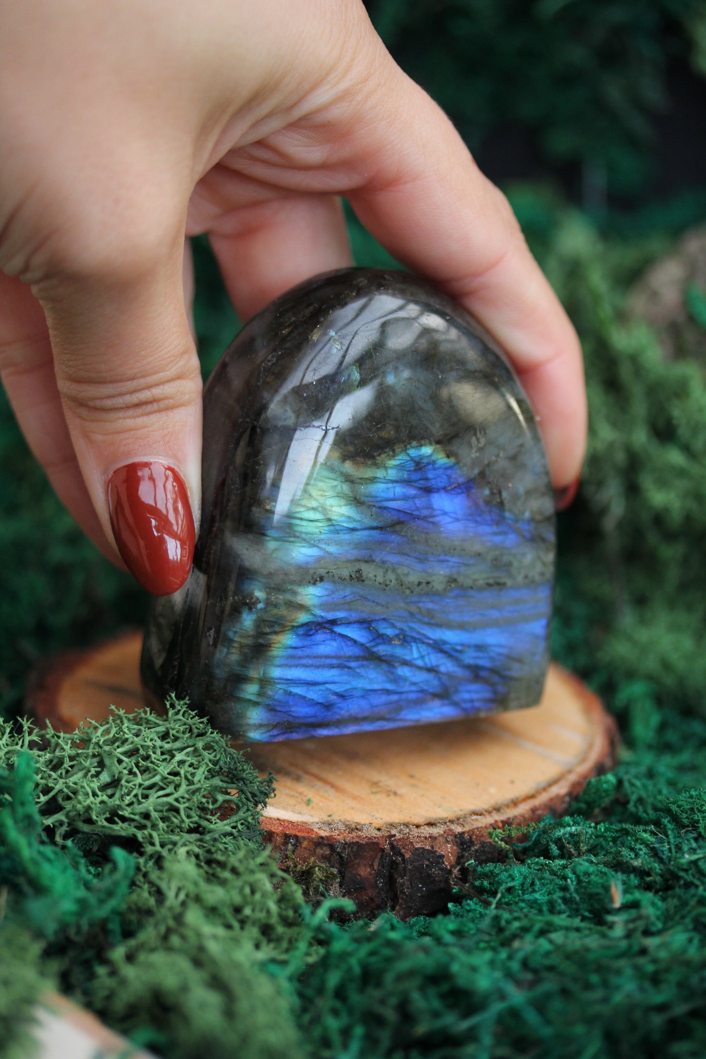 Blue Labradorite Freeform LF26