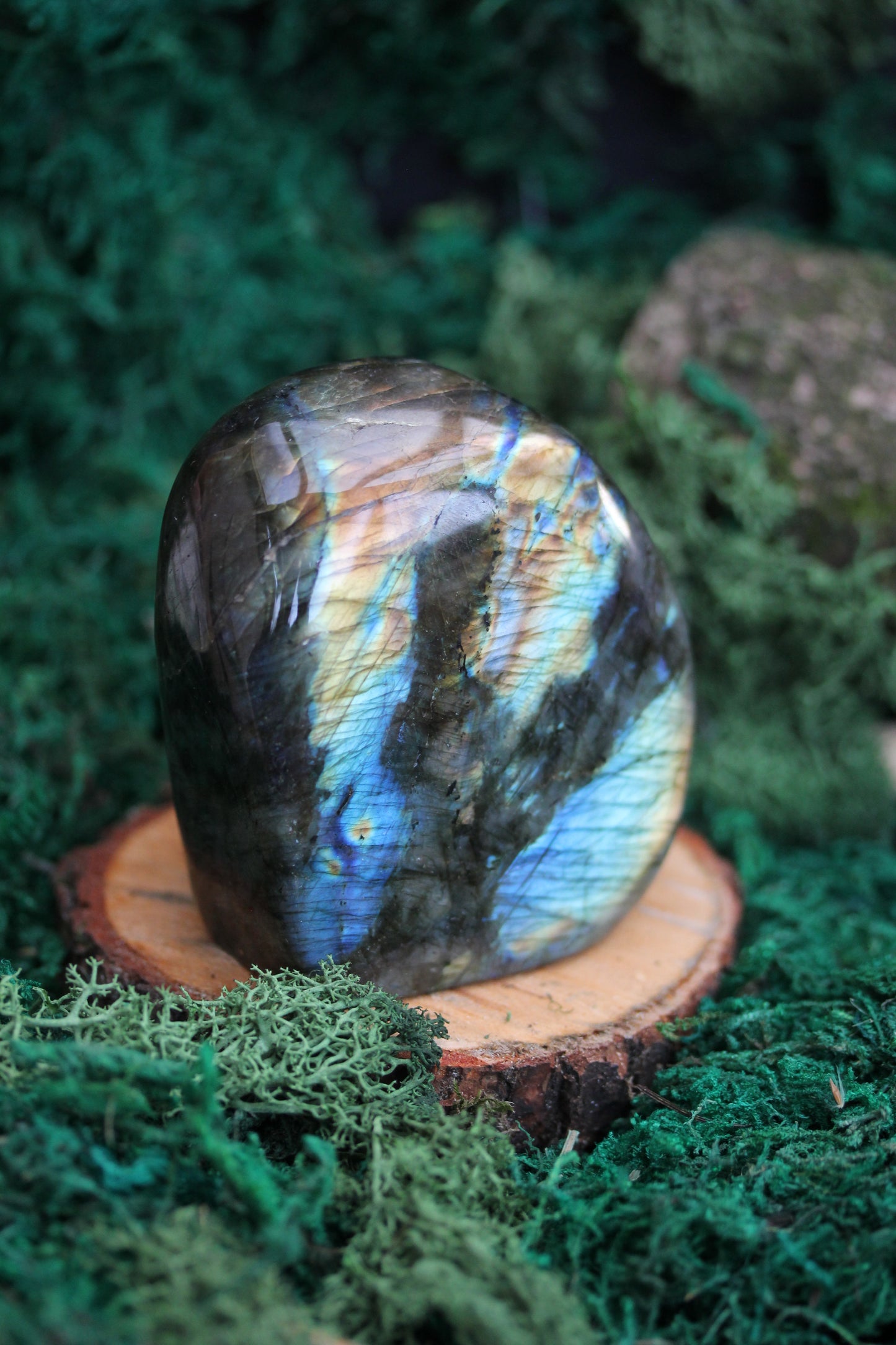 Blue Labradorite Freeform LF3