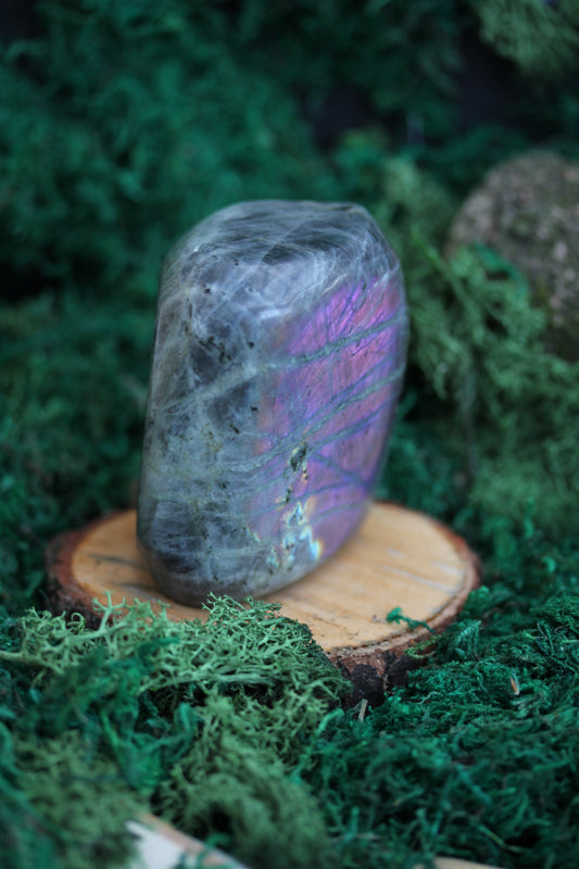 Purple Labradorite Freeform LF35