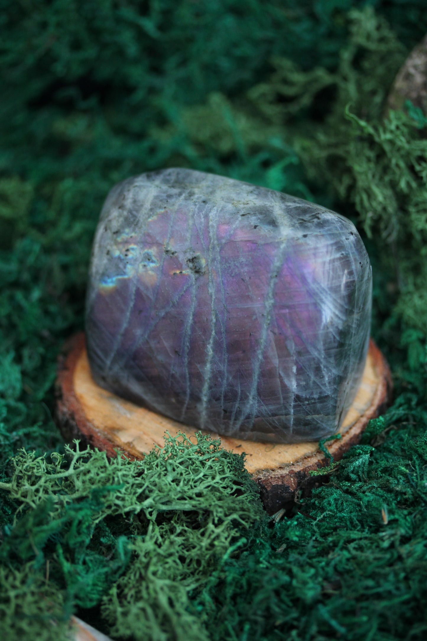 Purple Labradorite Freeform LF35