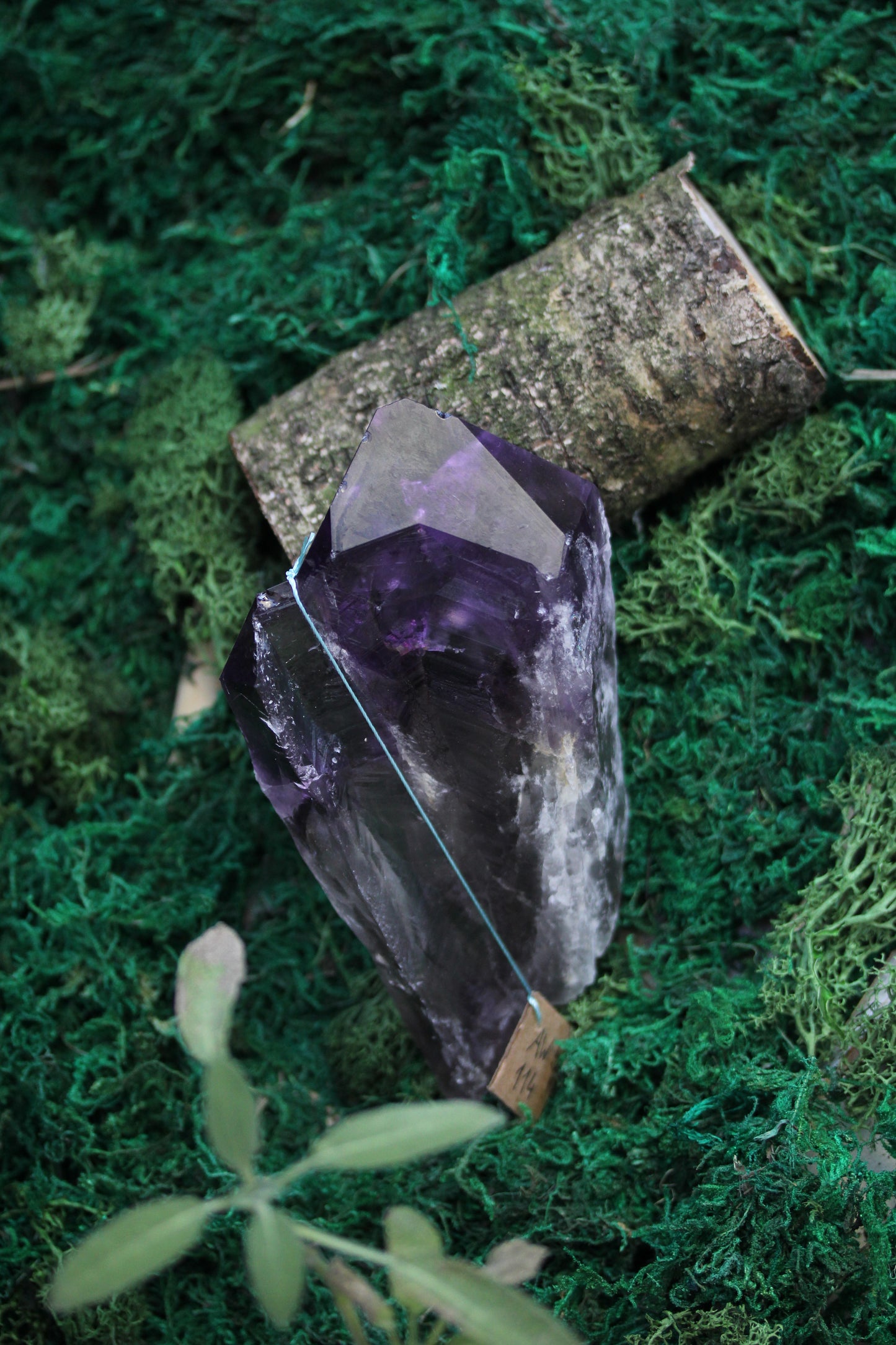 Raw Amethyst Wand AW5