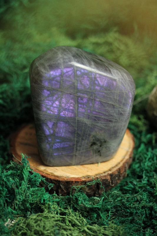 Purple Labradorite Freeform LF39