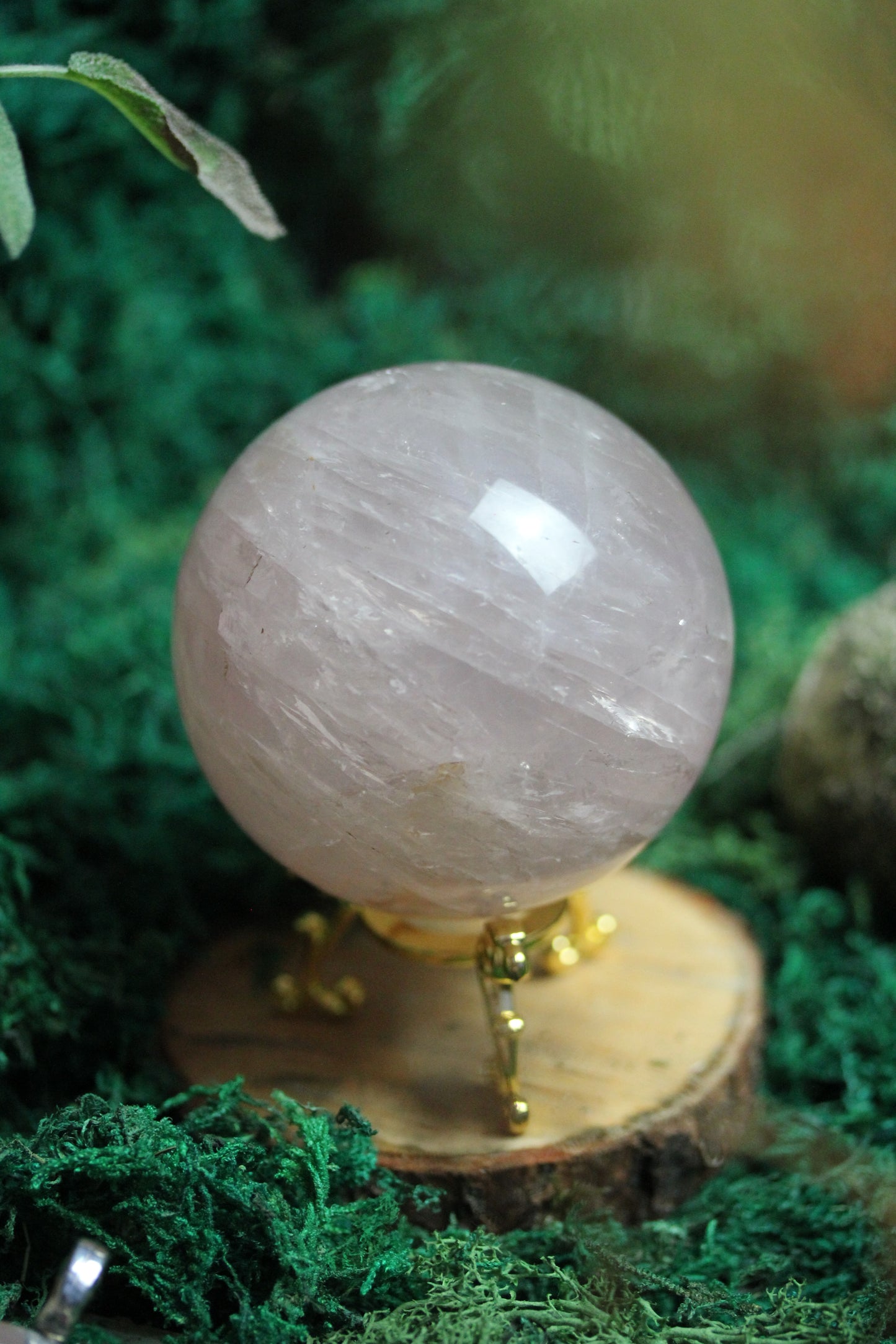 Rose Quartz Sphere with Asterism RQS5