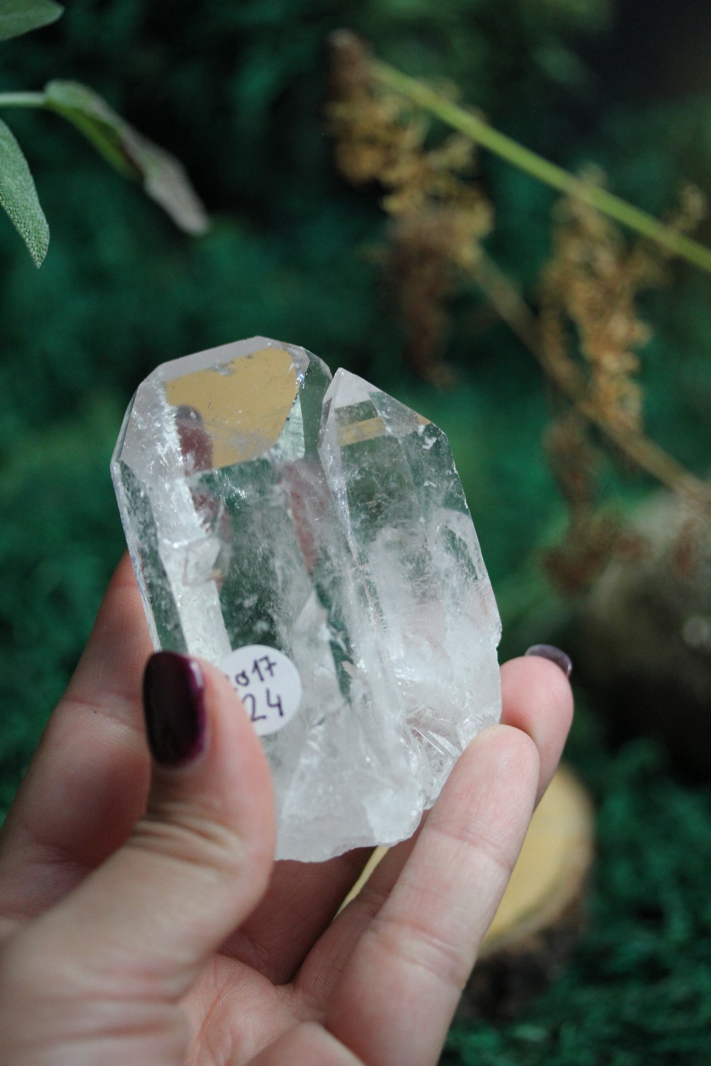 Raw Clear Quartz RQ17