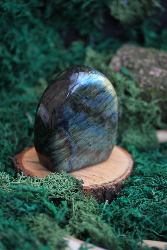 Blue Labradorite Freeform LF5