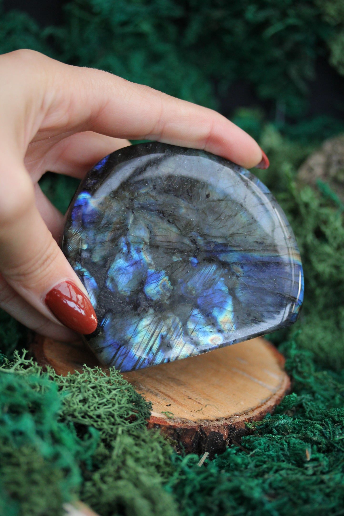 Blue Labradorite Freeform LF11