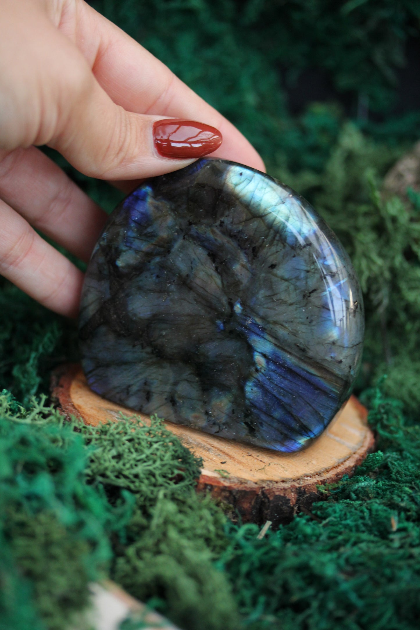 Blue Labradorite Freeform LF11