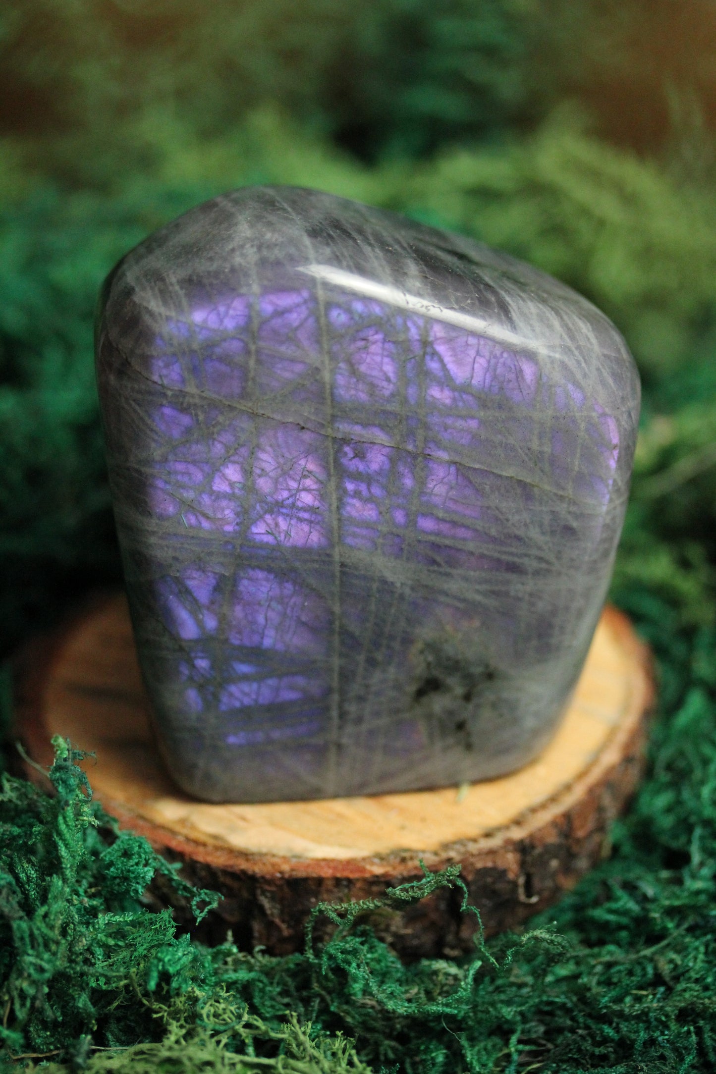 Purple Labradorite Freeform LF39